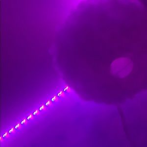 Meet your Posher, Fiona